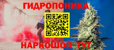 прущие крисы Кулебаки