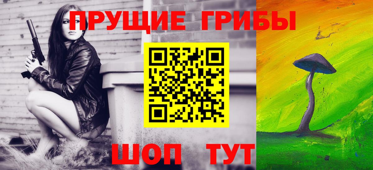 Галлюциногенные грибы GOLDEN TEACHER  Вход с VPN  Черногорск 